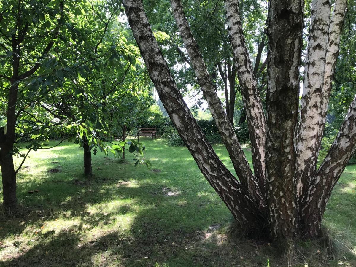 Pokoje Pod Debami Kazimierz Dolny Buitenkant foto