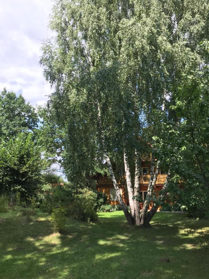 Pokoje Pod Debami Kazimierz Dolny Buitenkant foto